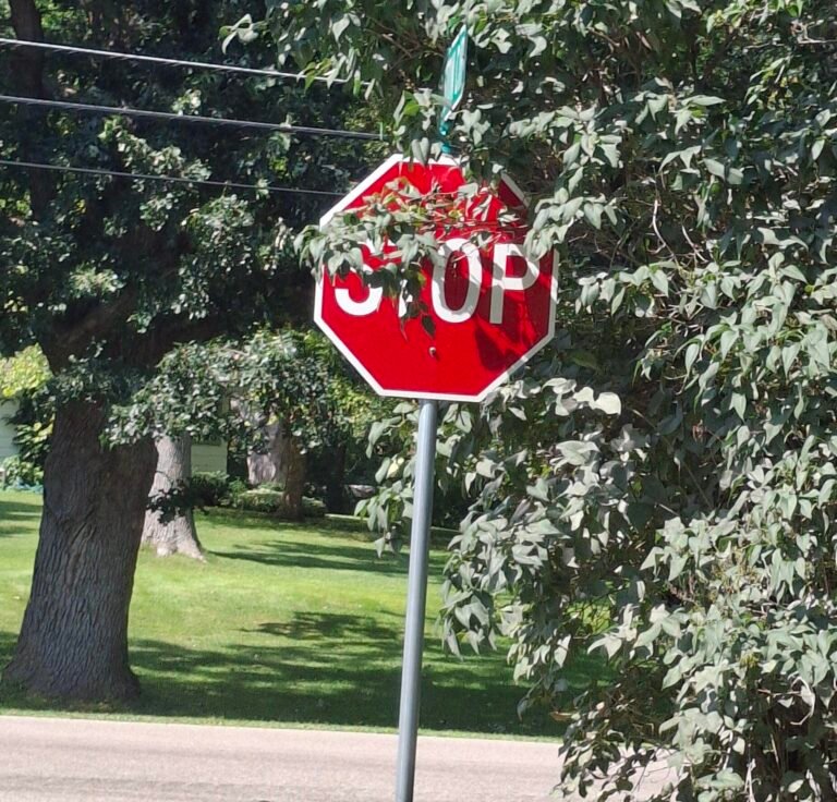 blocked stop sign